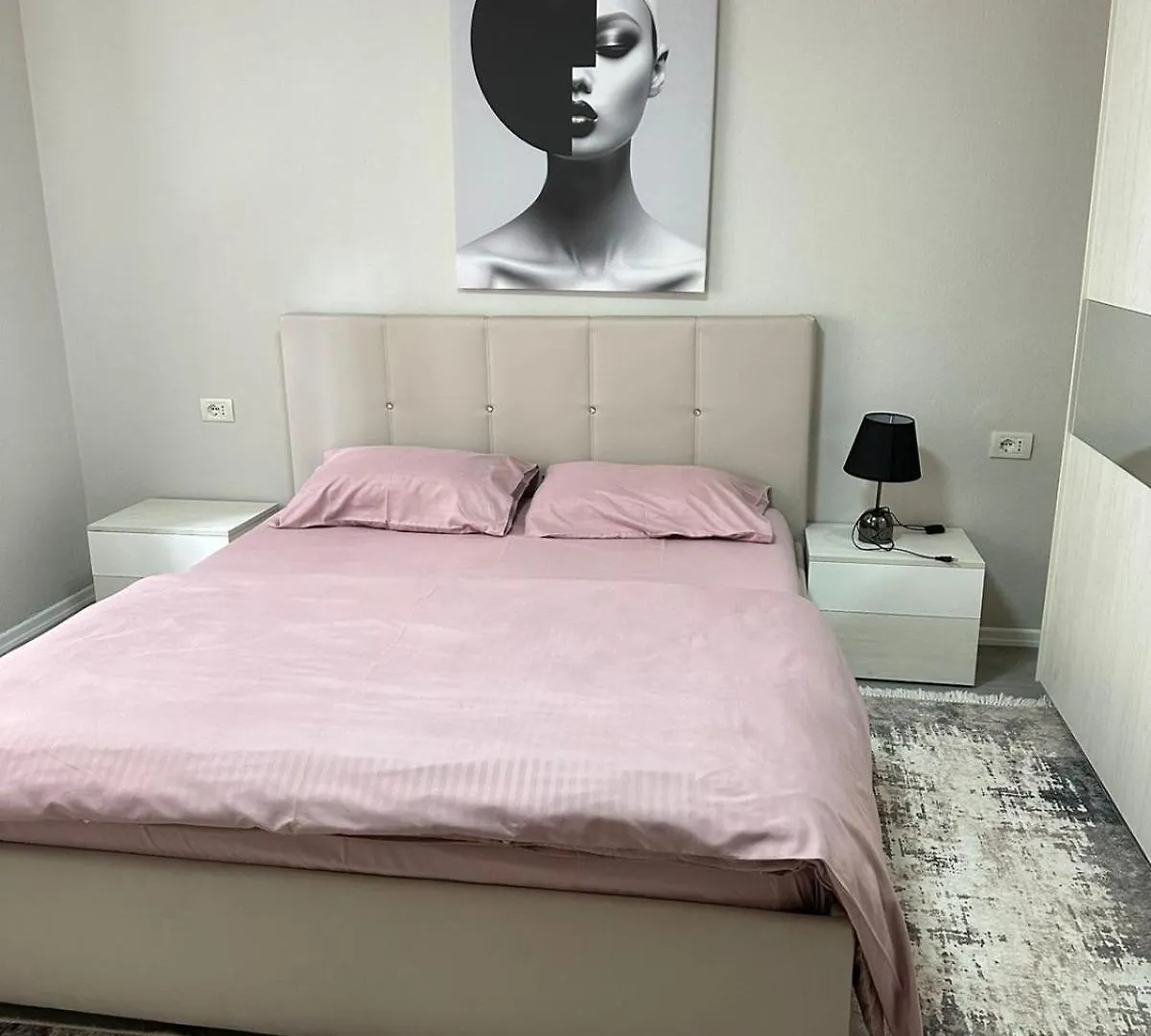 Just Renovated Apartment In The City Center Tirana Albania